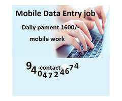 Data Entry Work from Home