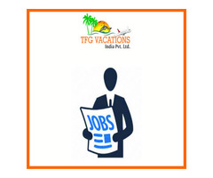 Urgent Hiring For Company Promotion Executive