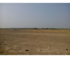 Are You Looking For Agriculture Land In Dholera Smart City? Call Now 7096961248