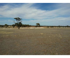 Non Agriculture Commercial Plot for sale in Dholera SIR