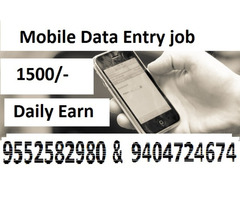 Data entry job